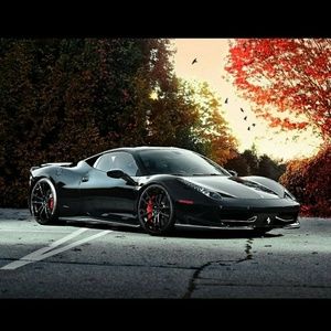 Meet your Posher, Briar